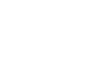 Logo Libro Blanco del Comercio Electrónico Transfronterizo